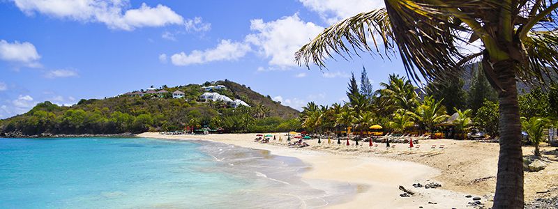 Palmer, sandstrand och grön natur i det exotiska Karibien.